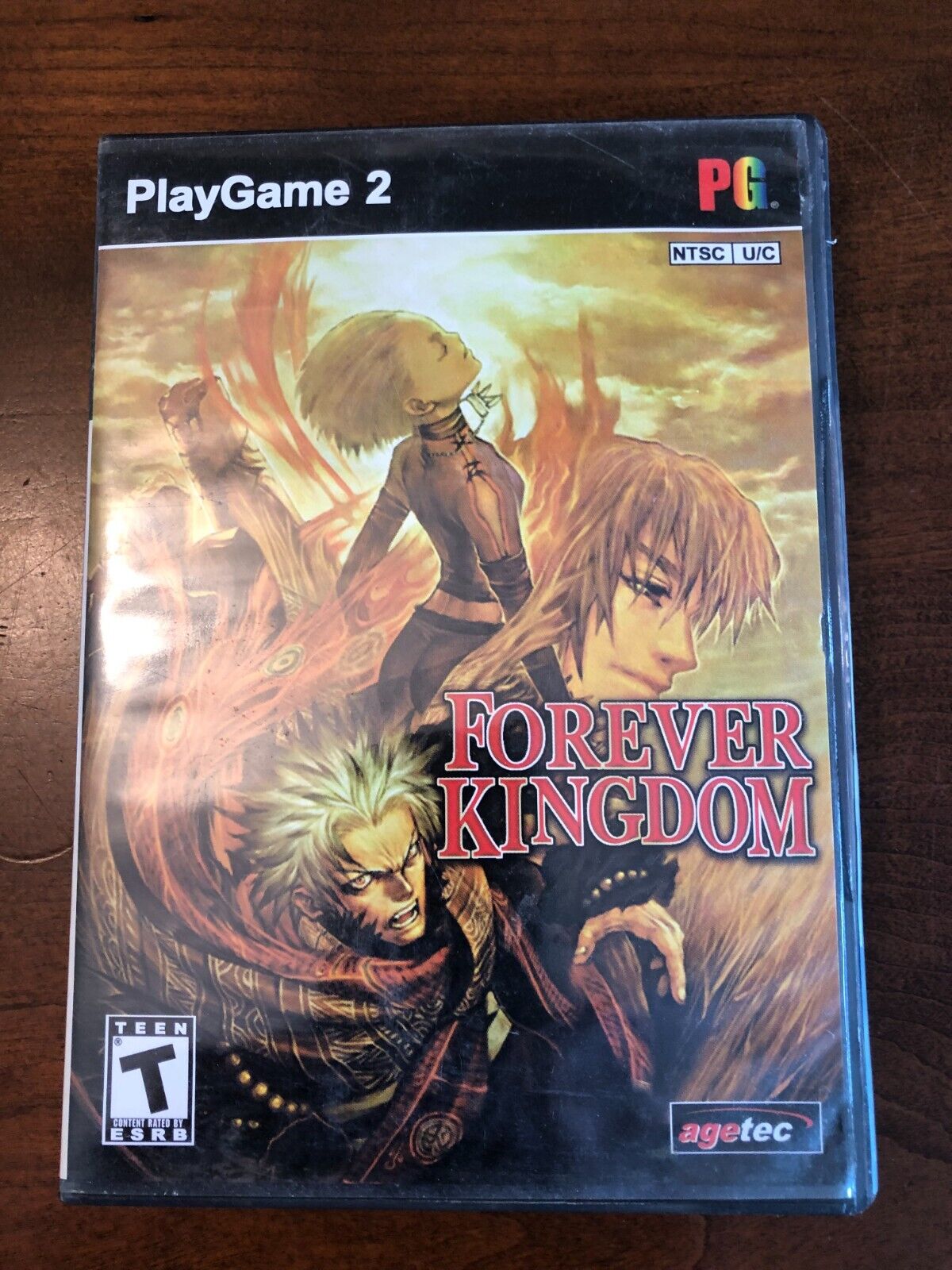 photo of a bootleg forever kingdom ps2 game box on a wood table. the illustration shows darius, faeana, and ruyan plus the forever kingdom logo, but the font is slightly off. instead of ps2 logos there is a company called playgame 2.